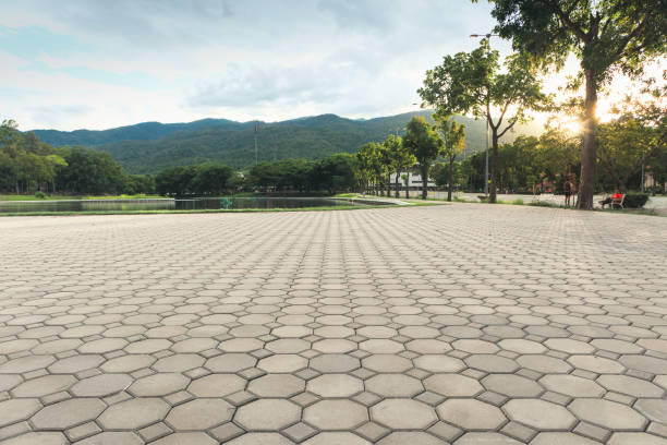 Best Professional Driveway Pavers  in Surf City, NJ